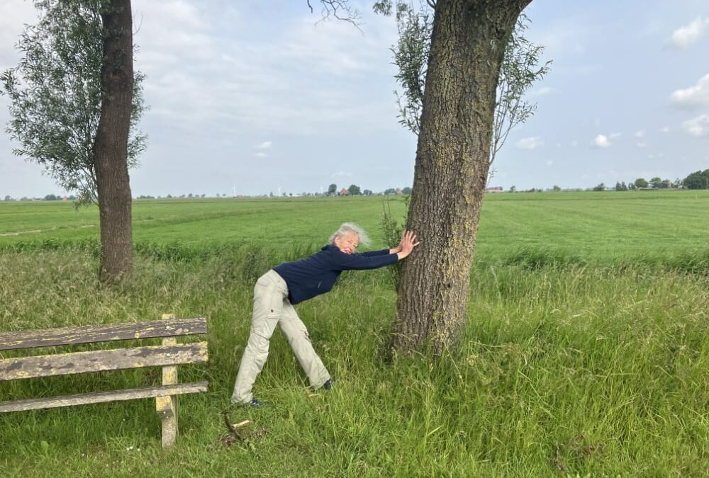 Inspanning en ontspanning