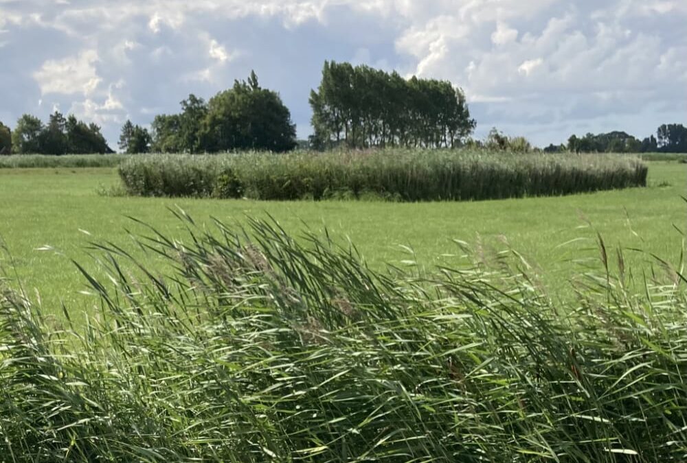 Een Joodse begraafplaats?