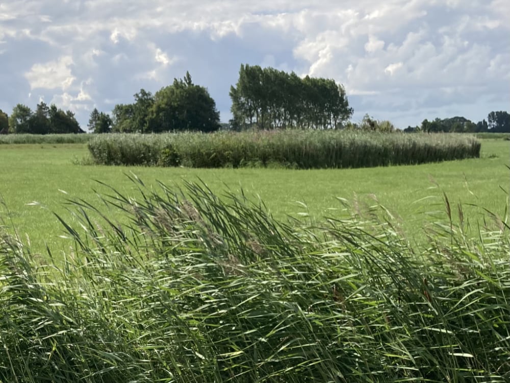 Joodse begraafplaats natuurlijk wandelen corien unger
