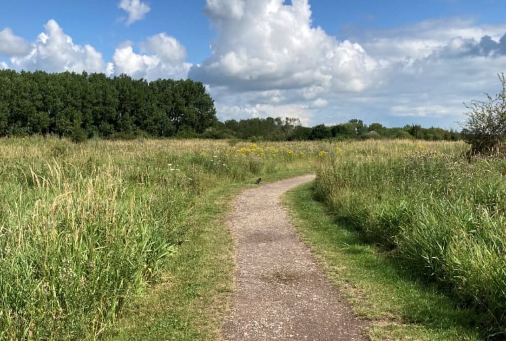 Najaarscursus Mind-Walk®