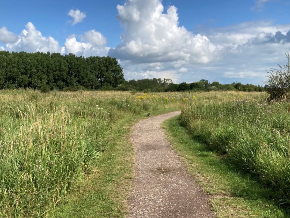 Najaarscursus mind-walk corien unger