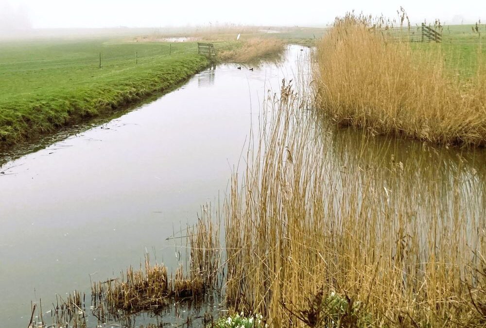 Natuurlijk energiek: twee wandeltips