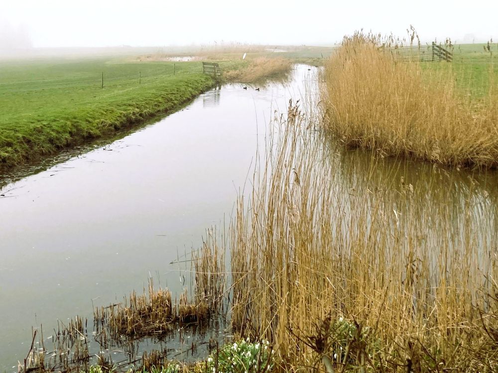 natuurlijk energiek wandeltips corien unger